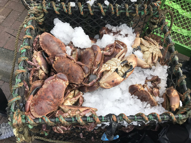 Seafood